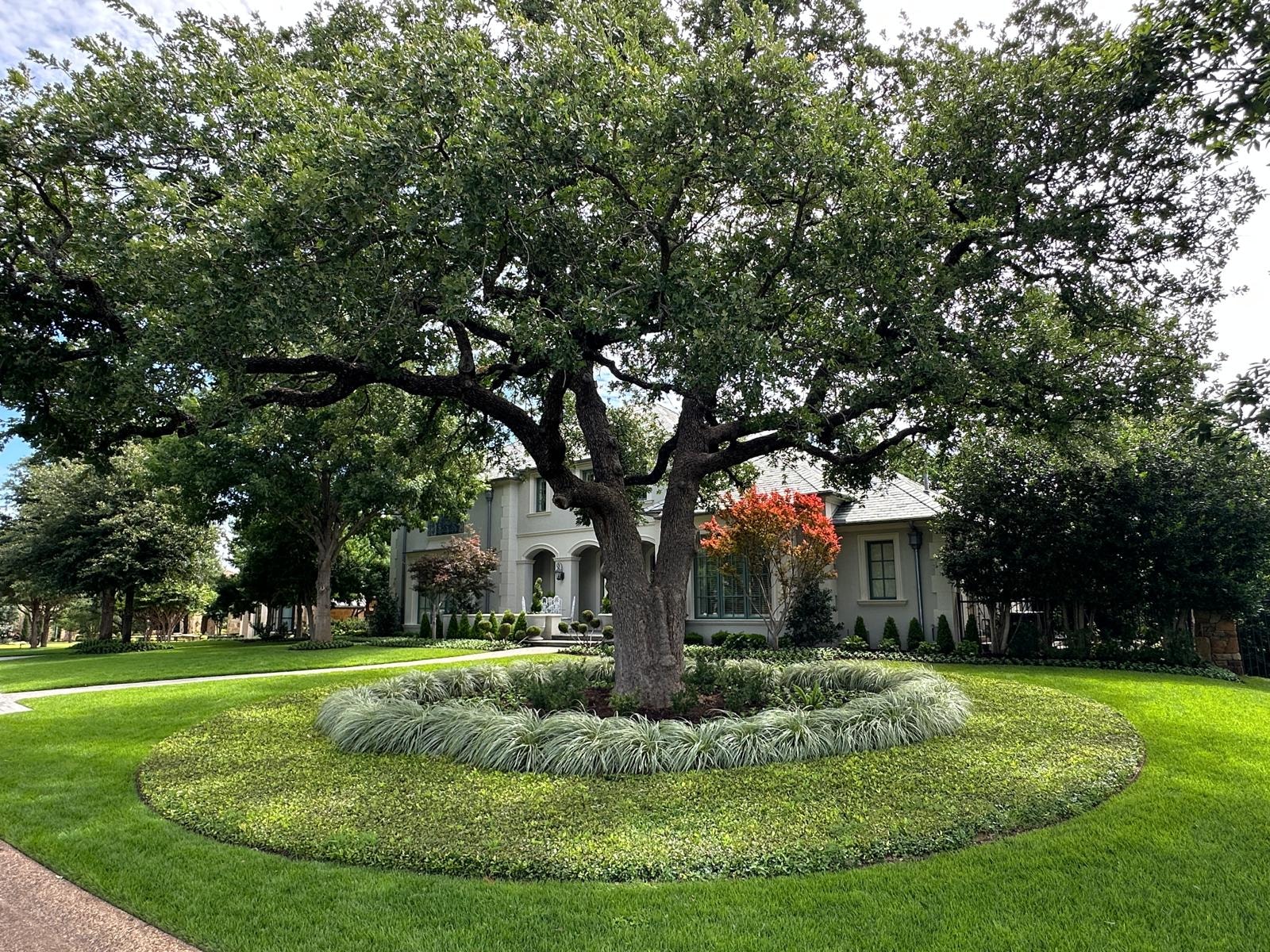 Residential lawn care and landscaping